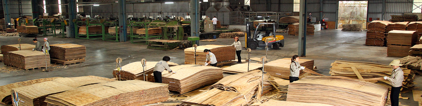 Thương mại Nam Huy 5