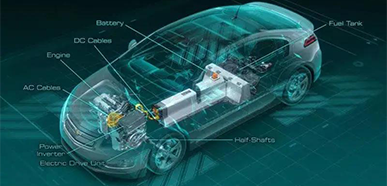 Logistics Quốc Tế Shine-Link (Việt Nam) 1