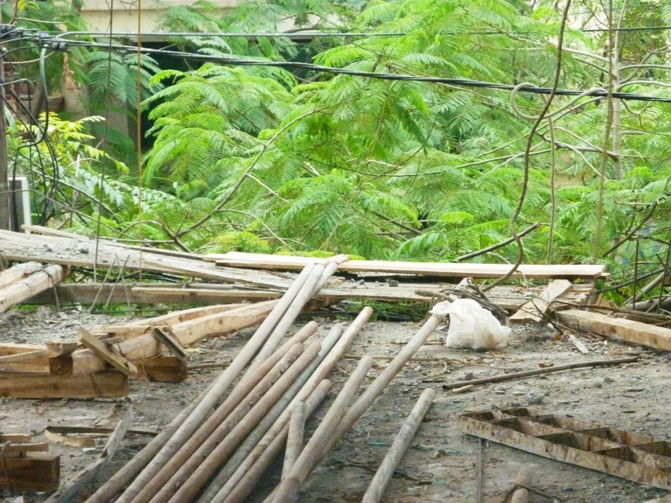 Đông Thiên Phú 6