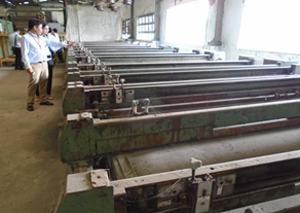 Thẩm Định Giá Sài Gòn 8