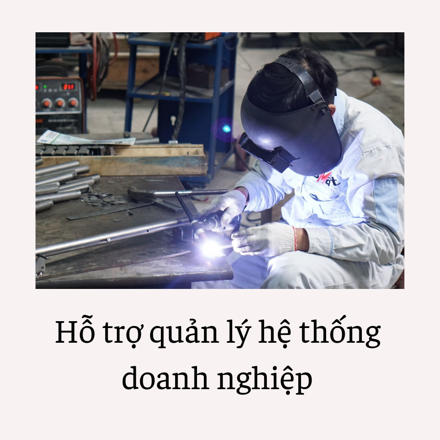 Smart Việt Nam 6