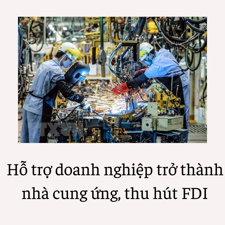 Smart Việt Nam 5