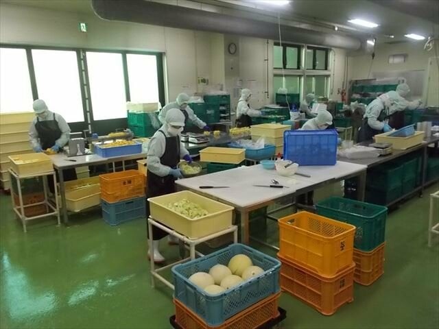 PHÁT TRIỂN NGUỒN LỰC VIỆT PHÁT 1