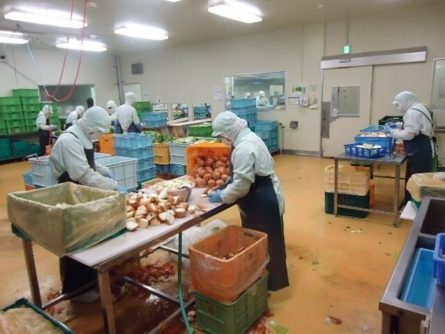 PHÁT TRIỂN NGUỒN LỰC VIỆT PHÁT 6