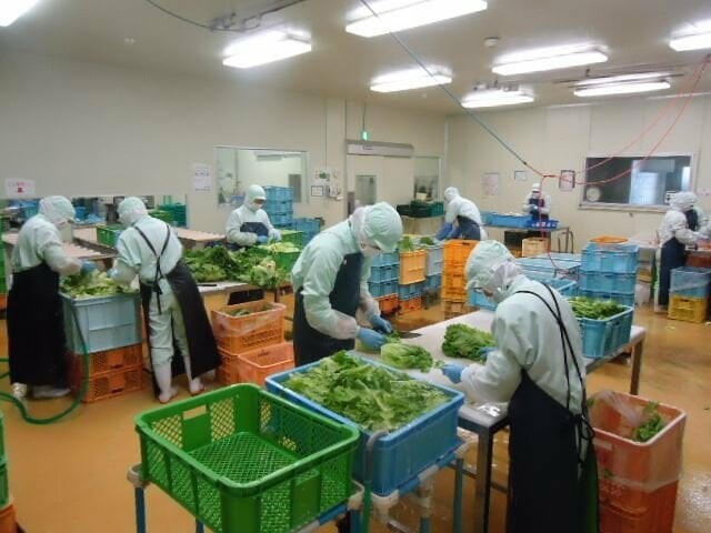 PHÁT TRIỂN NGUỒN LỰC VIỆT PHÁT 8