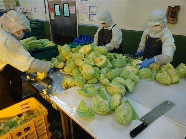 PHÁT TRIỂN NGUỒN LỰC VIỆT PHÁT 2