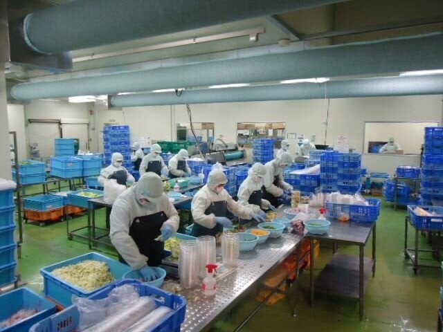 PHÁT TRIỂN NGUỒN LỰC VIỆT PHÁT 5