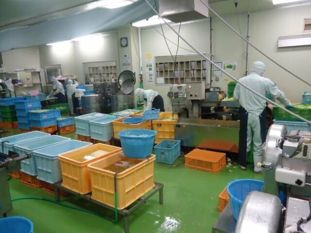 PHÁT TRIỂN NGUỒN LỰC VIỆT PHÁT 3