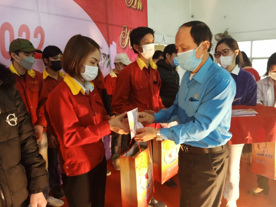 Falcon Việt Nam (Đại An) 4