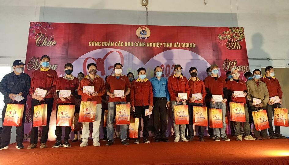 Falcon Việt Nam (Đại An) 3