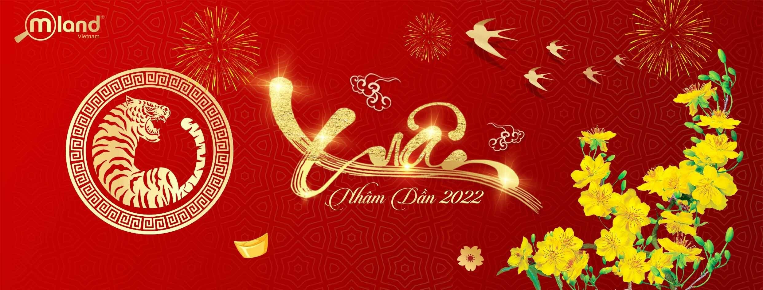 Mland Phú Mỹ Hưng 5