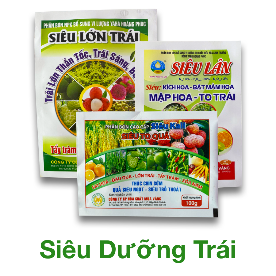 TẬP ĐOÀN MIND GROUP 5