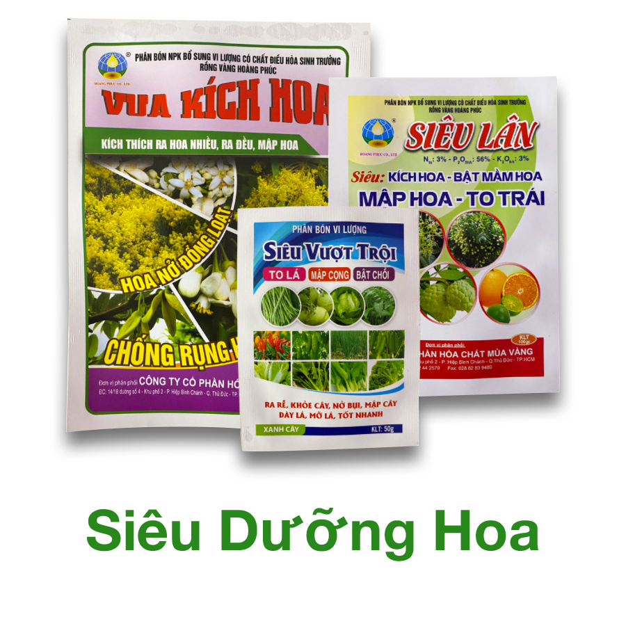 TẬP ĐOÀN MIND GROUP 4