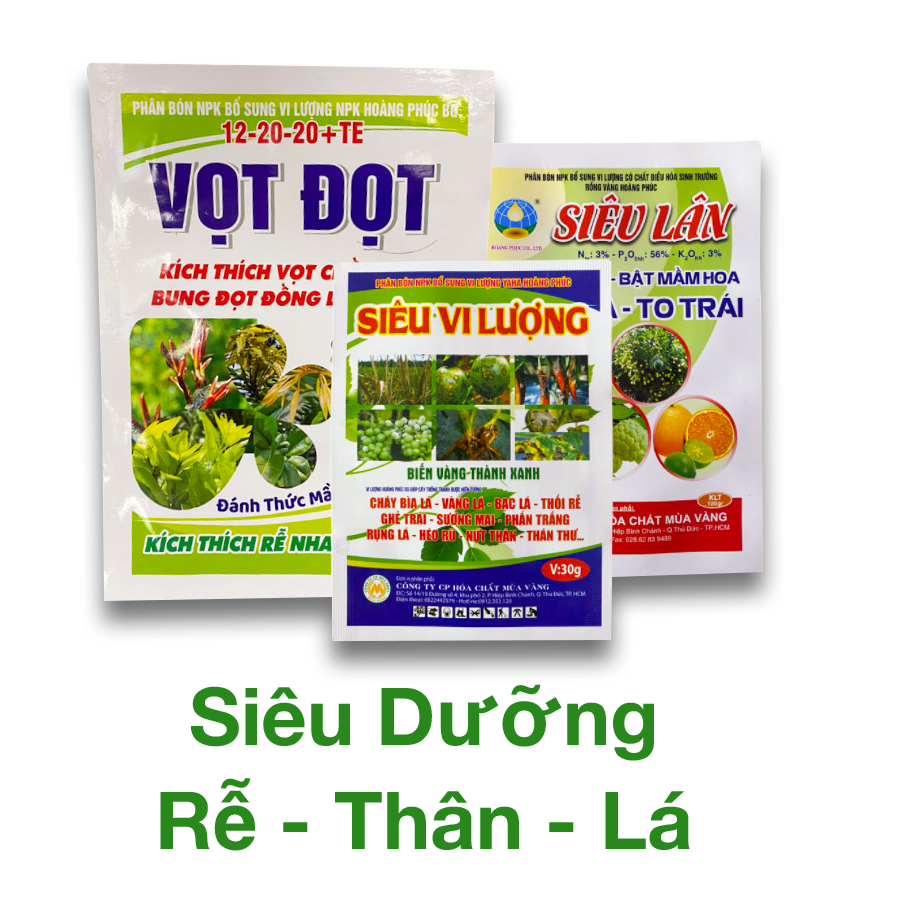 TẬP ĐOÀN MIND GROUP 3