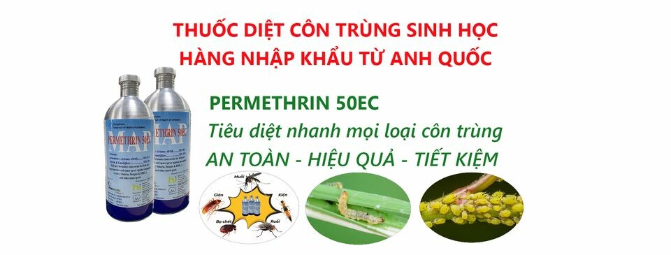 TẬP ĐOÀN MIND GROUP 10