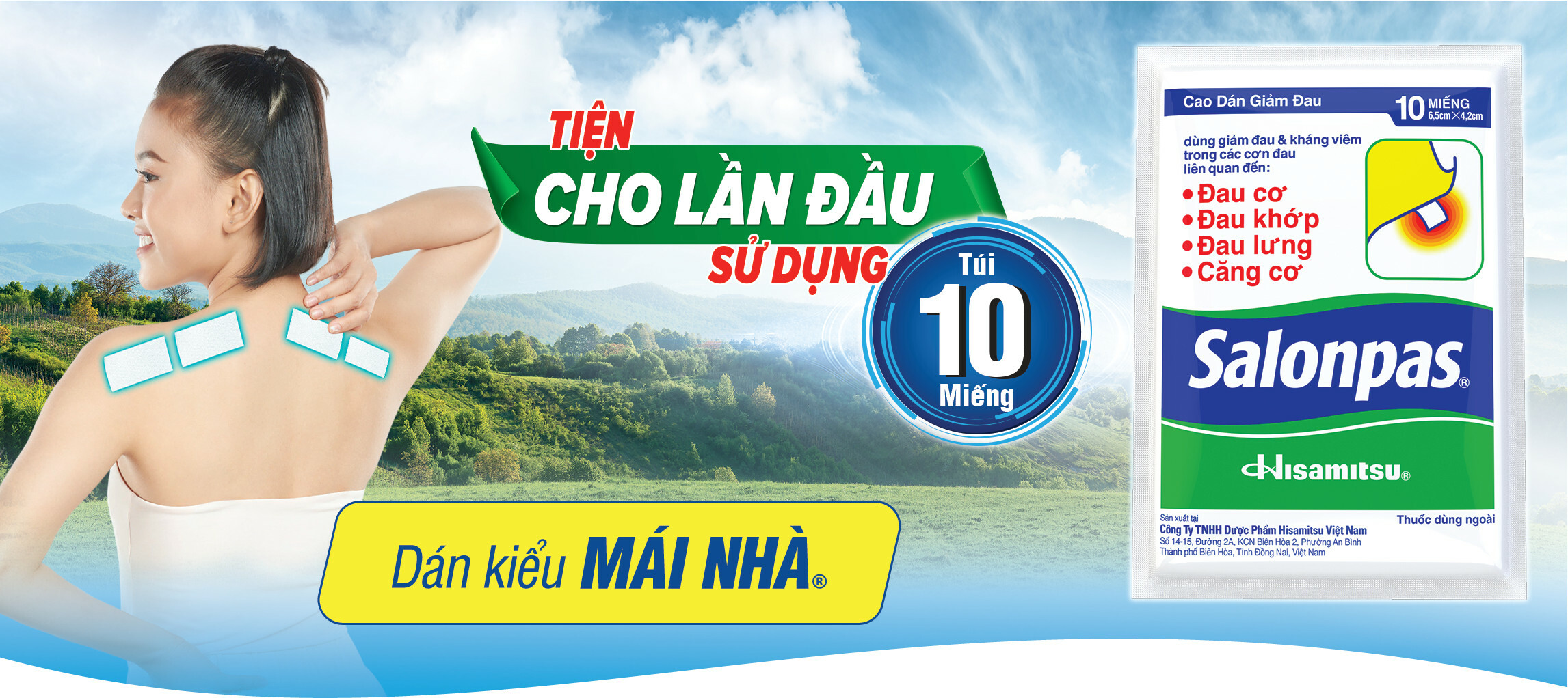 Hisamitsu Việt Nam 1