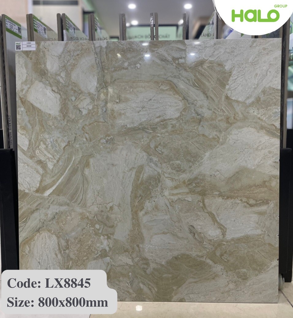 Cổ phần Tập đoàn HALO 6