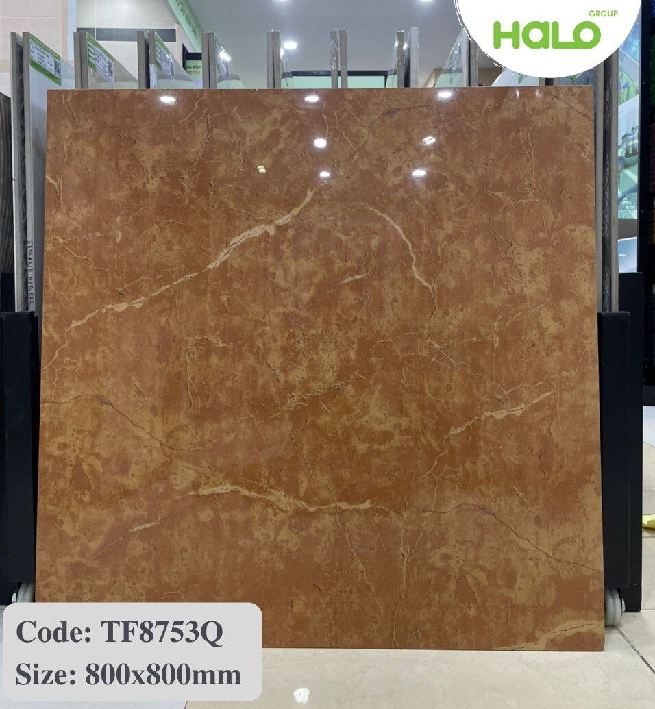 Cổ phần Tập đoàn HALO 7