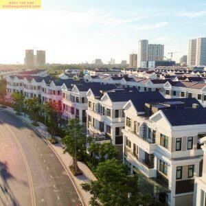 CÔNG TY CỔ PHẦN BROKER VIỆT NAM 3