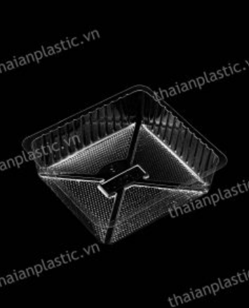 Bao Bì Nhựa Thái An 8