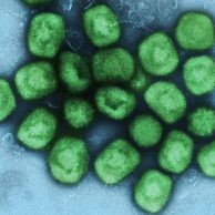 Công Nghệ Sinh Học Khoa Thương 8