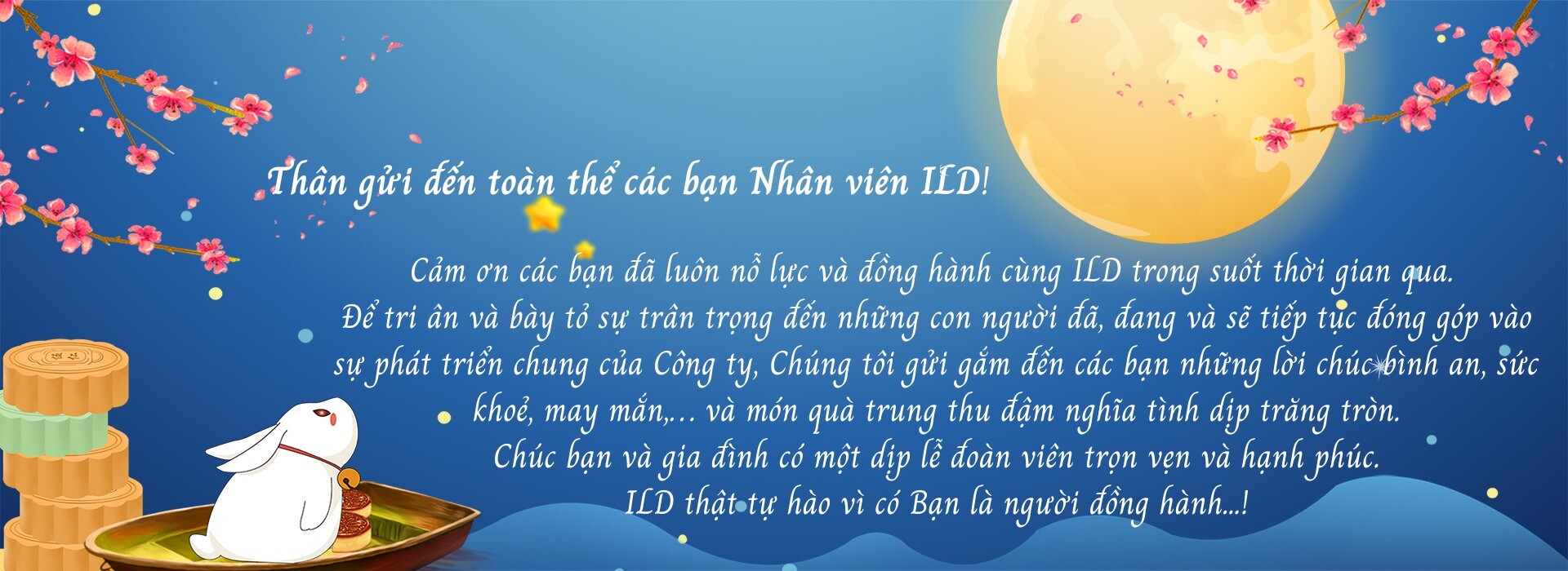 Phân Phối Liên Kết Quốc Tế (ILD) 9