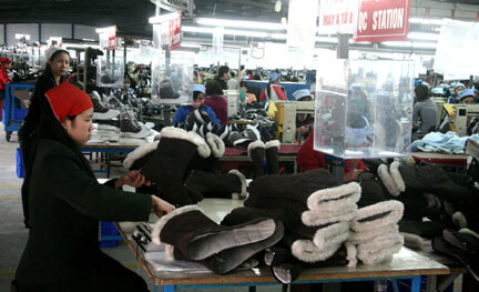 Giầy Stateway Việt Nam 1