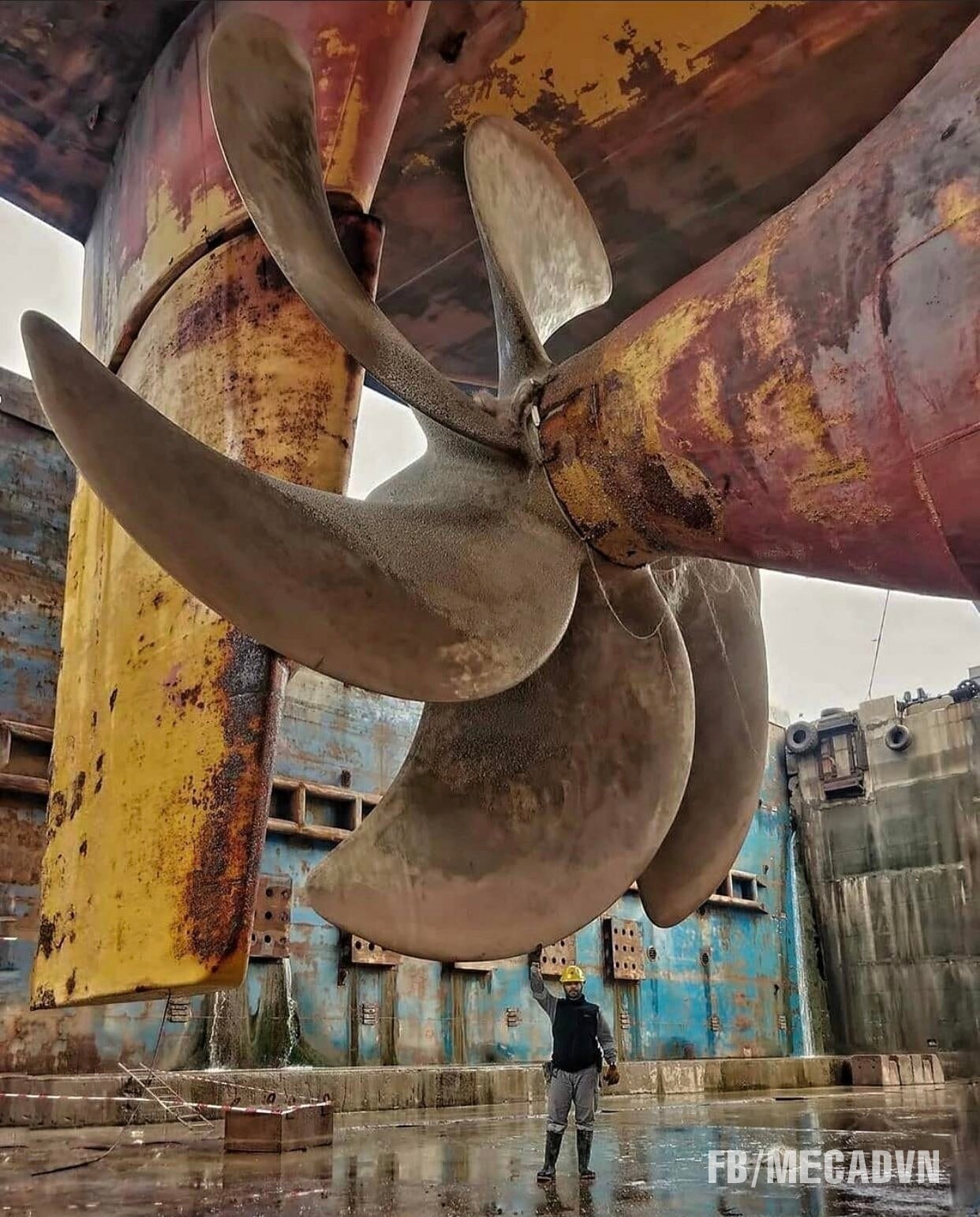 Công Ty TNHH Dad Quốc Tế 5