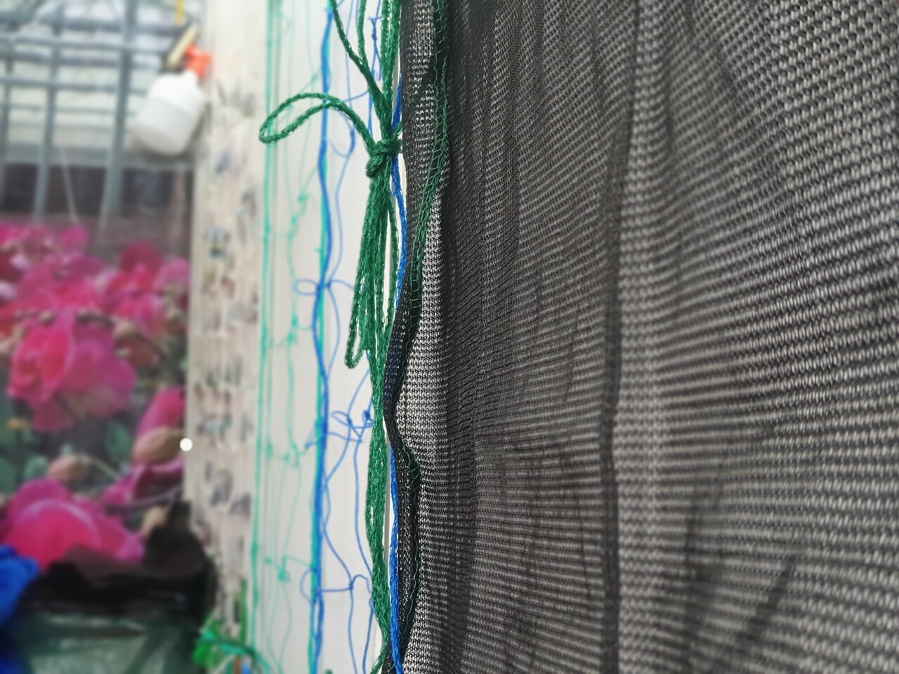 Forever Industries 5