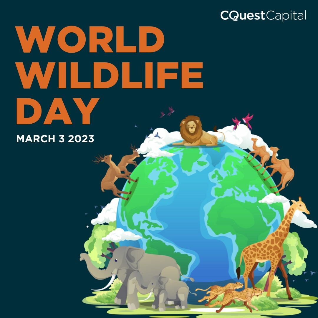 C Quest Capital LLC 9