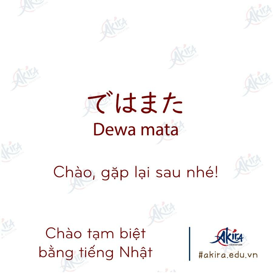 Giáo dục Akira 2
