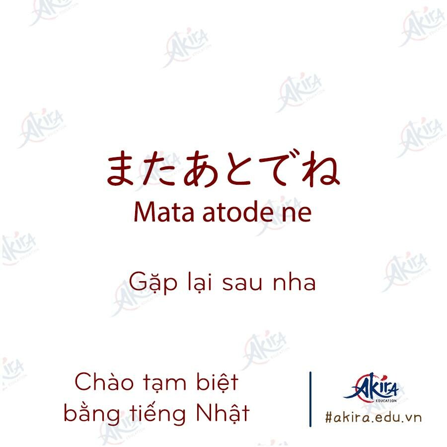 Giáo dục Akira 4