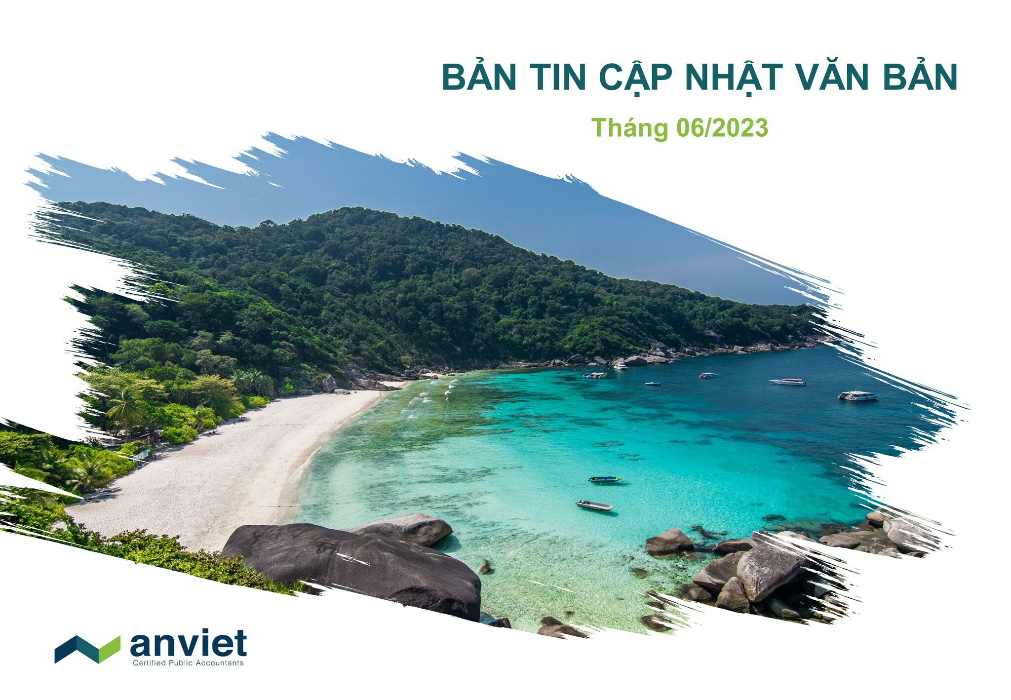 Công Ty TNHH Kiểm Toán An Việt 8