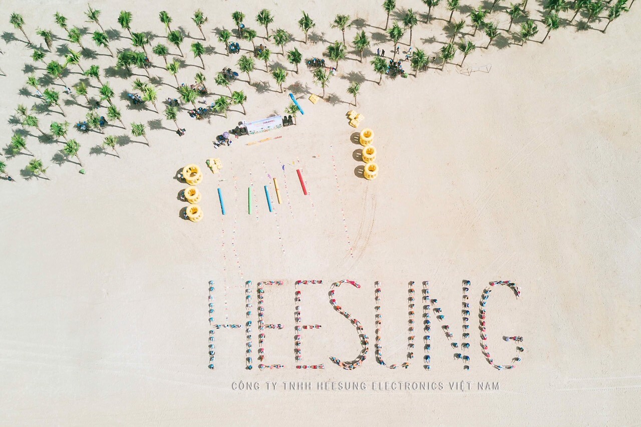 Heesung Electronics 11