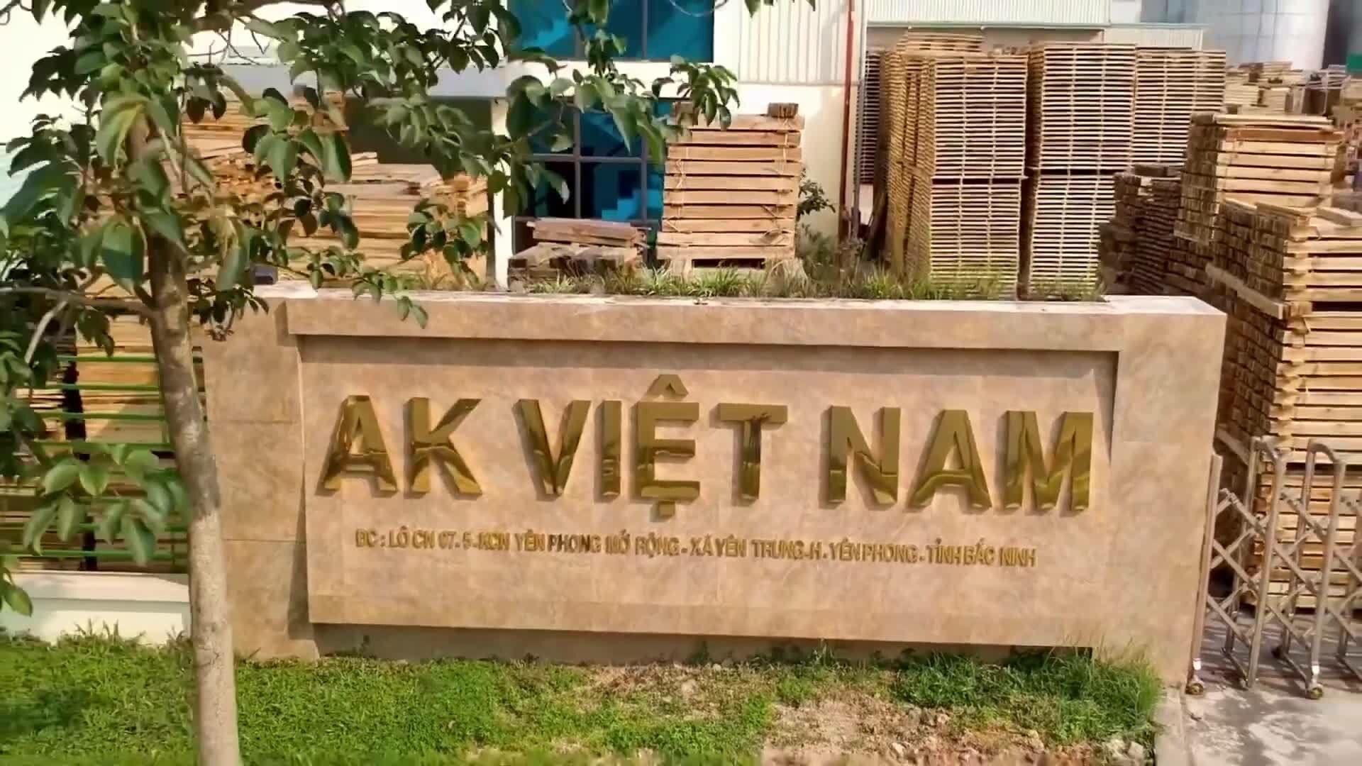 AK Việt Nam 8