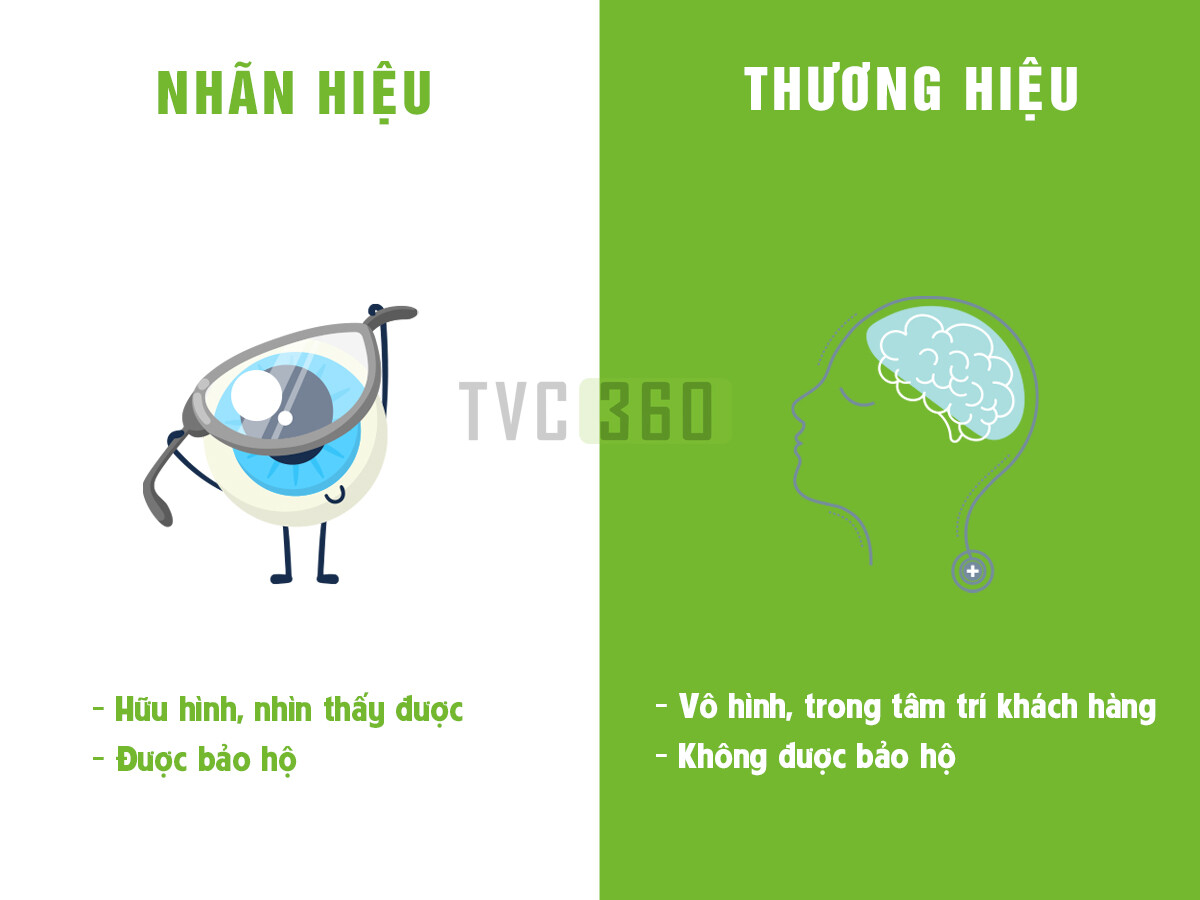 TRUYỀN THÔNG TVC360 VIỆT NAM 7