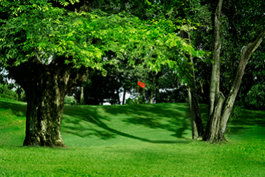 Liên Doanh Hoa Việt 5