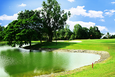 Liên Doanh Hoa Việt 3