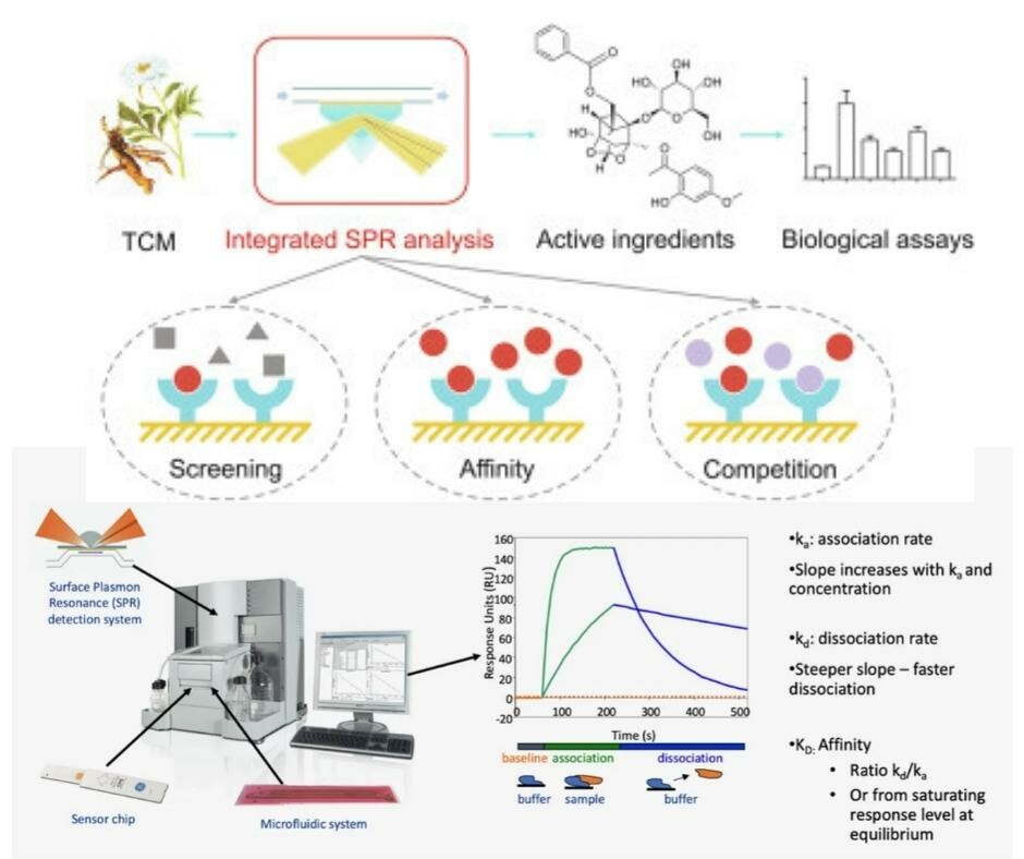 Công Ty TNHH B.c.e Việt Nam 1