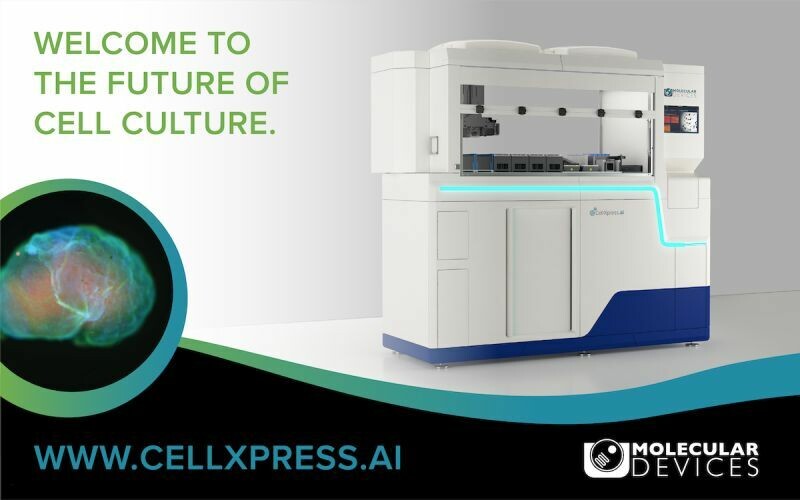 Công Ty TNHH B.c.e Việt Nam 2