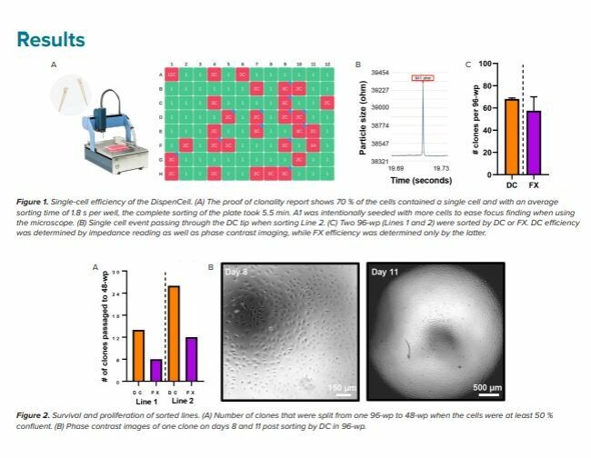 Công Ty TNHH B.c.e Việt Nam 9