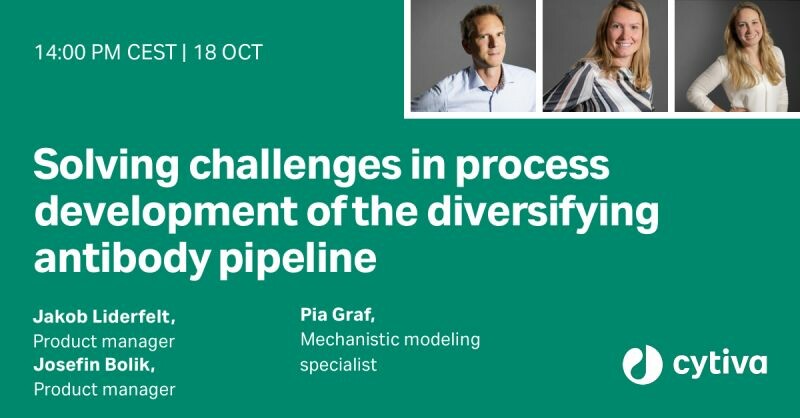 Công Ty TNHH B.c.e Việt Nam 8