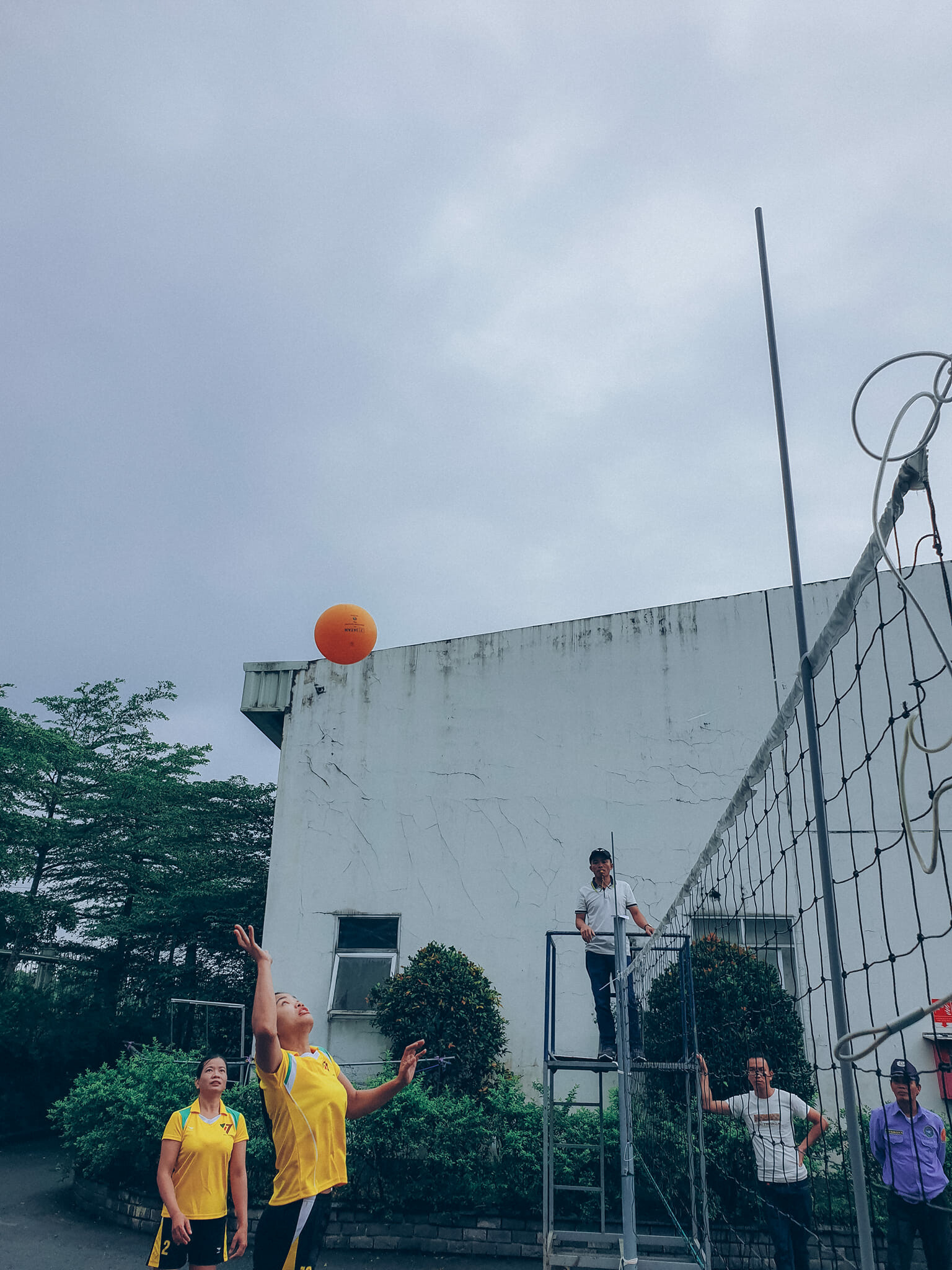 Dệt May Vtj Toms 10