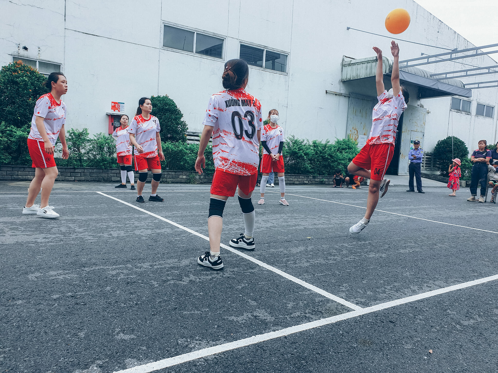 Dệt May Vtj Toms 9