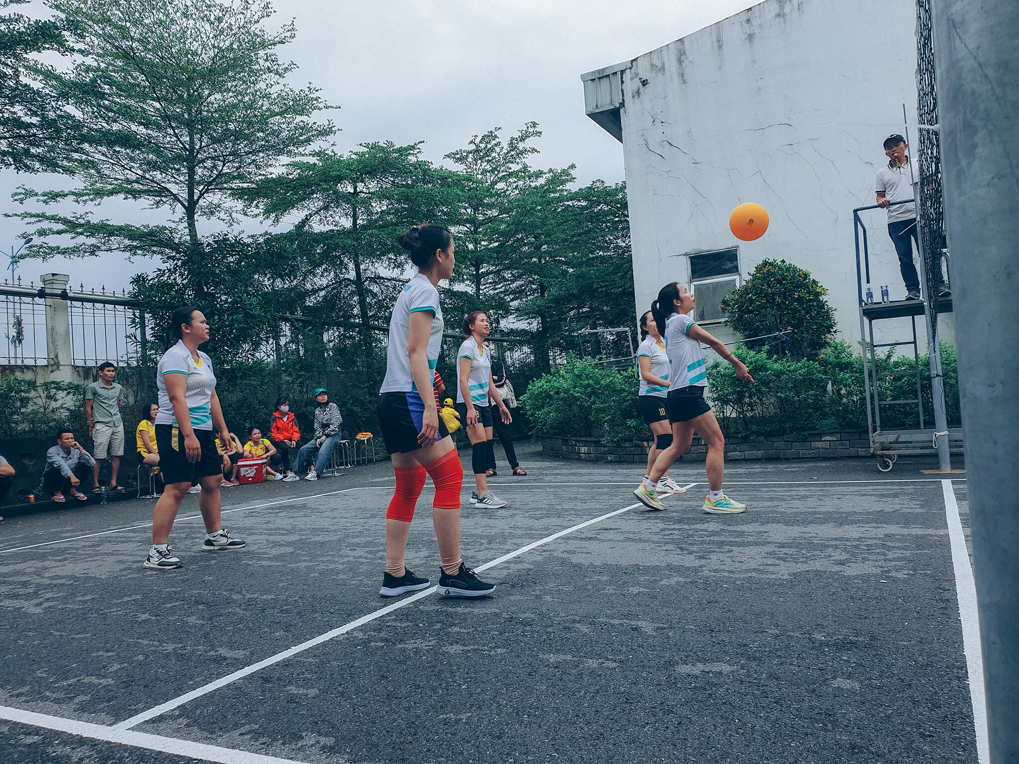 Dệt May Vtj Toms 8