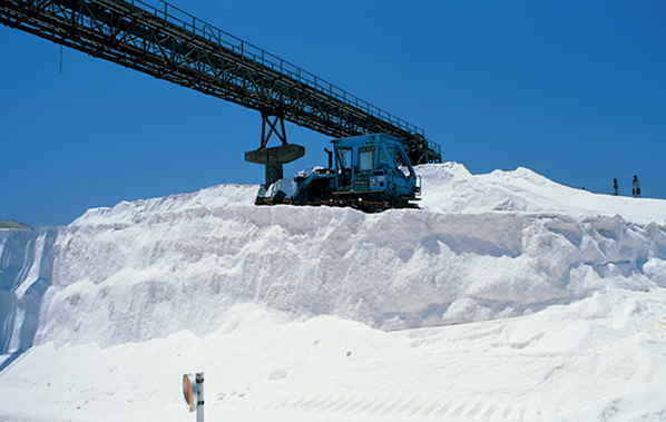 AGC Chemicals Việt Nam 7