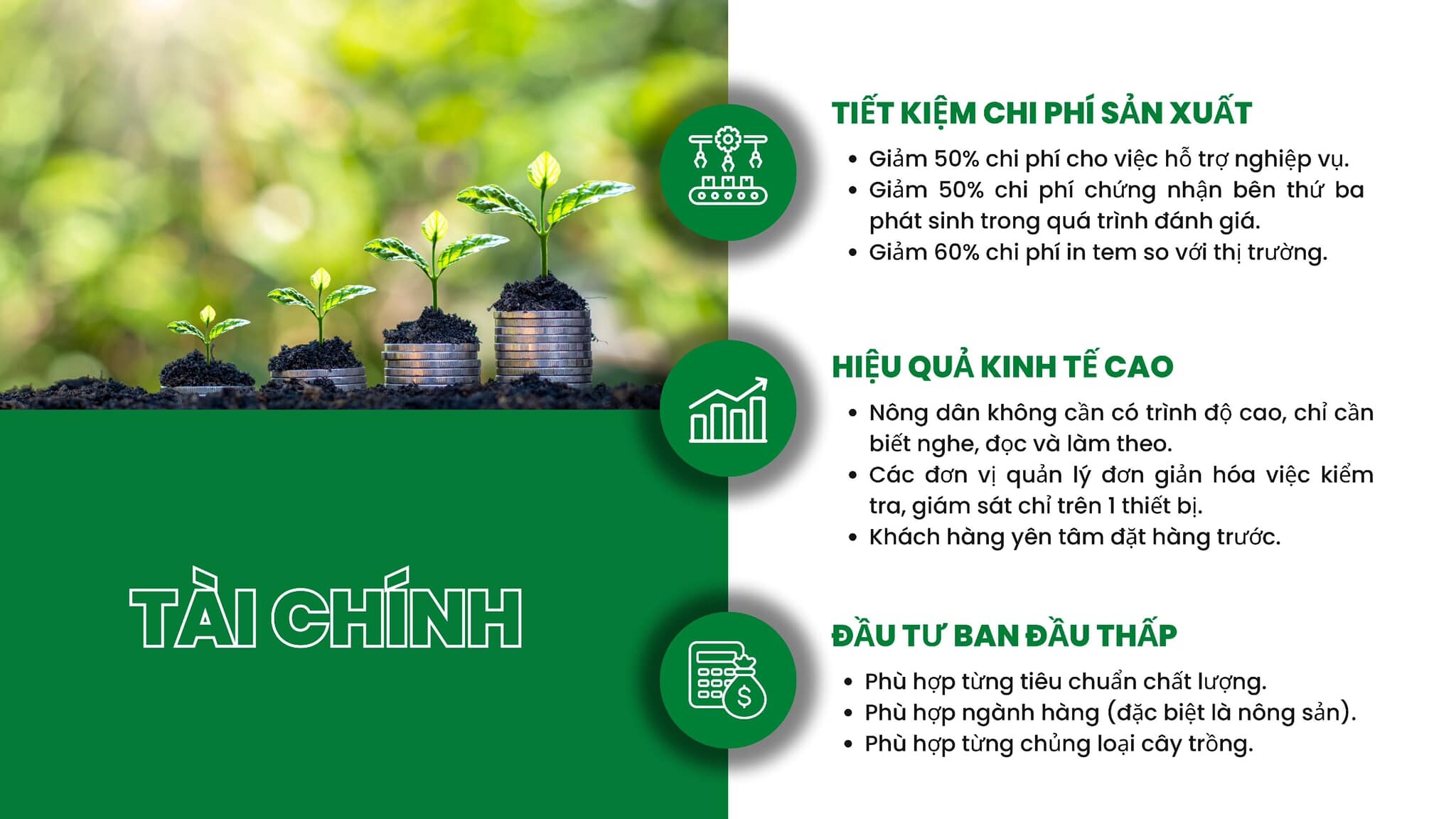 Công Nghệ Và Số Hóa Toàn Cầu 8