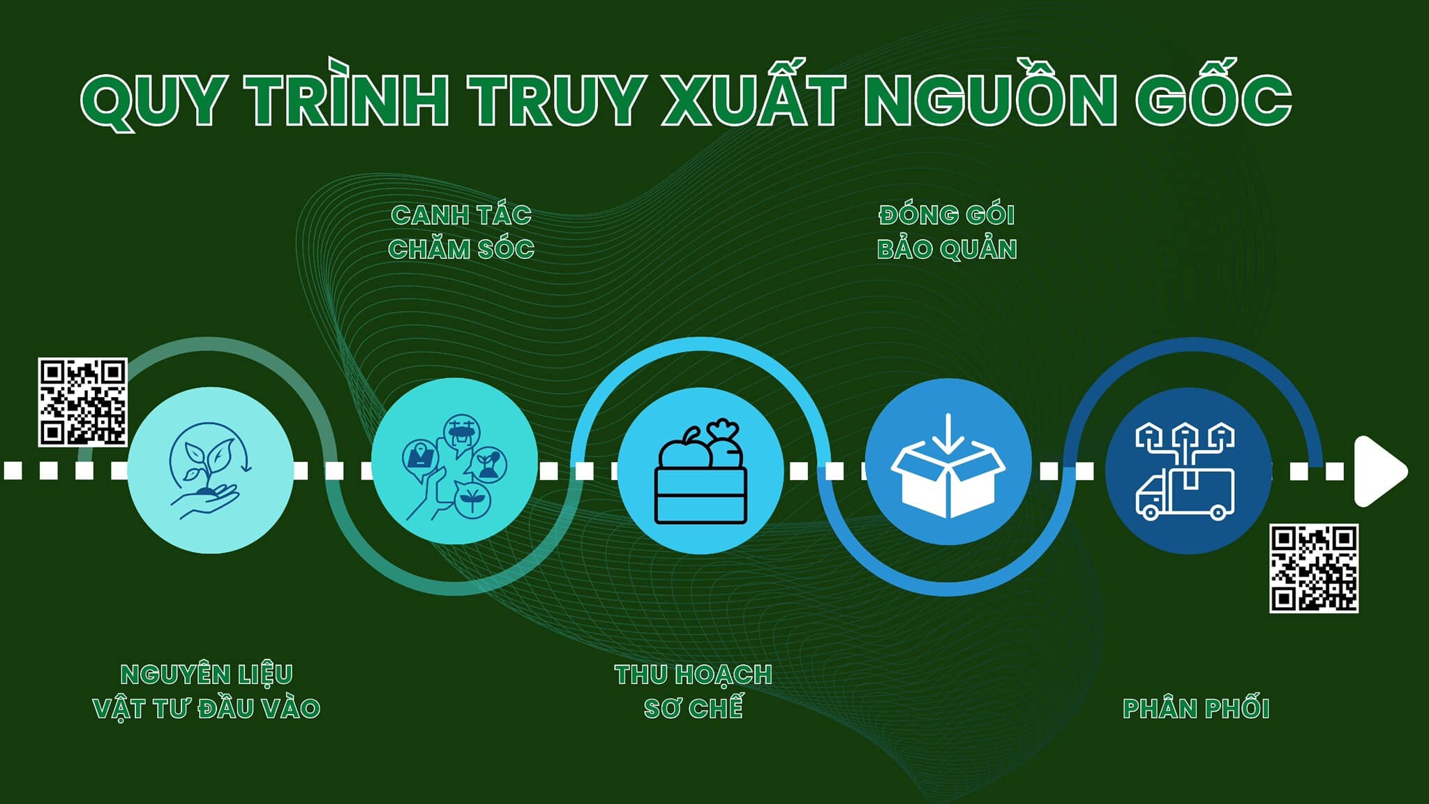 Công Nghệ Và Số Hóa Toàn Cầu 5