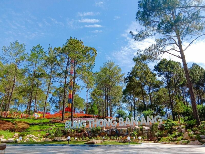 Công Ty TNHH TM Và DV HK 1