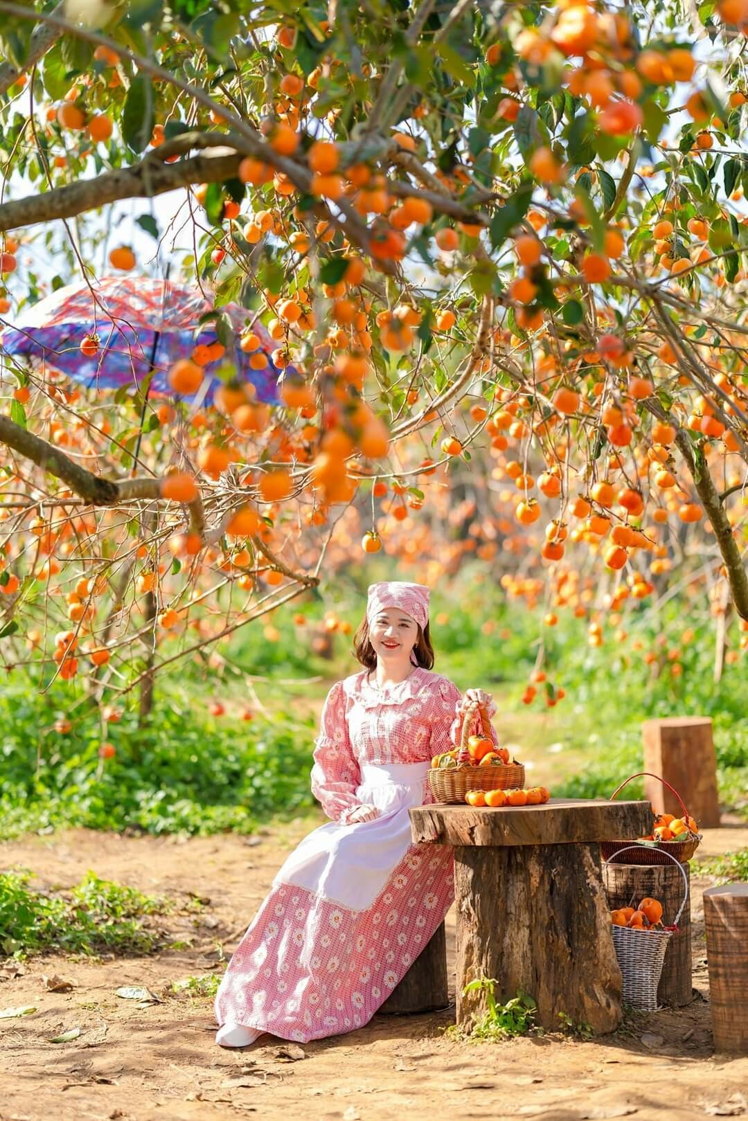 Công Ty TNHH TM Và DV HK 5